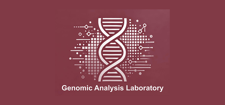 lab 이미지
